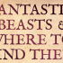 Evanna Lynch on Who She Wants to See Cast as Newt in ‘Fantastic Beasts and Where To Find Them’